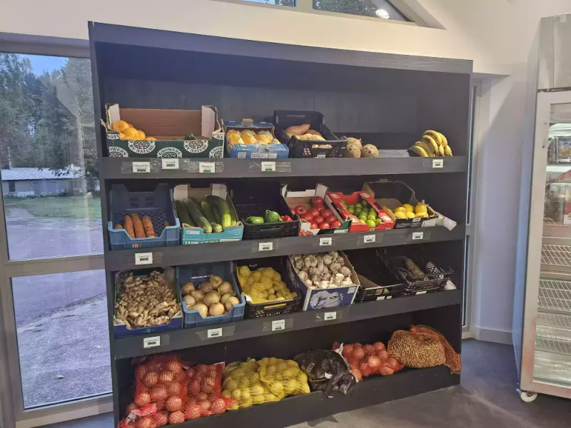 Fresh and frozen food
